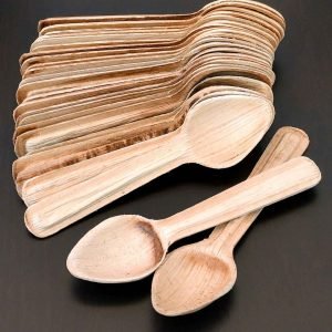 Eco-friendly Disposable Areca Leaf Spoons - 6 inches