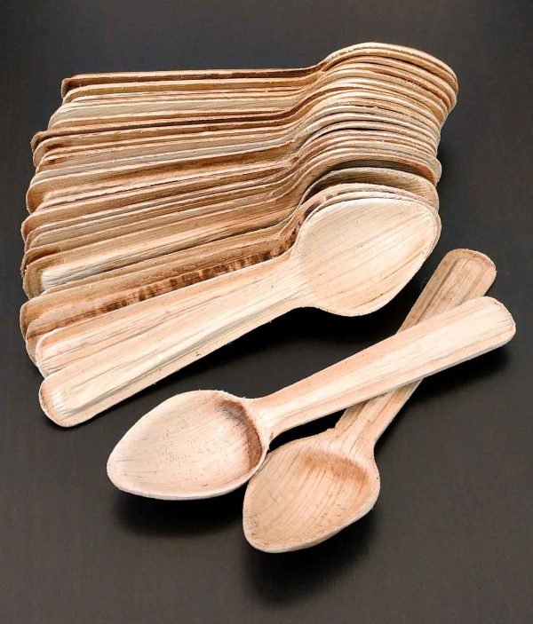 Eco-friendly Disposable Areca Leaf Spoons - 6 inches Eco-friendly Disposable Areca Leaf Spoons - 6 inches