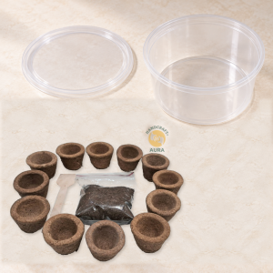 Herbal Aroma DIY Dhoop Cups kit with 12 empty dhoop cups, filling mixture, a wooden spoon, and an empty big container with lid.